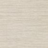 Oralia 111438